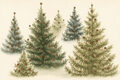 Image Not Available